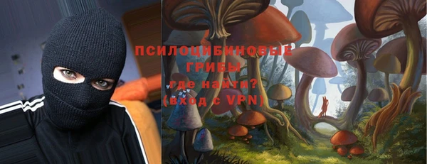 мдпв Богородицк