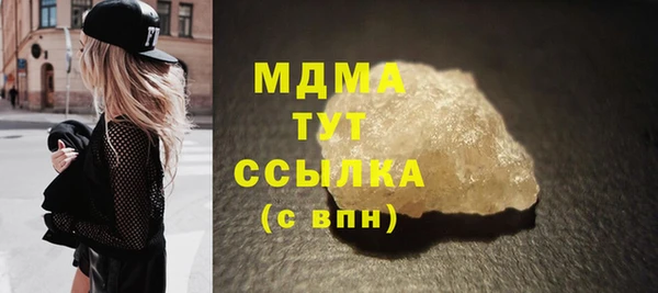 дмт Богданович