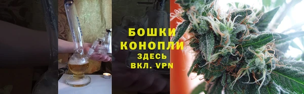 дмт Богданович