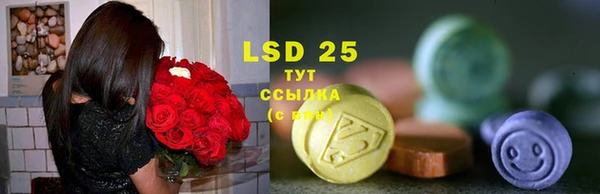 дмт Богданович
