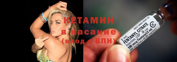 дмт Богданович