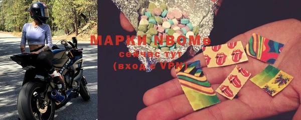 мдпв Богородицк