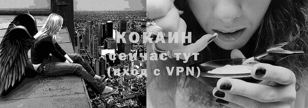 2c-b Богородск