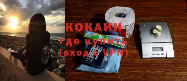 мдпв Богородицк