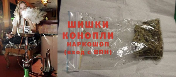 амф Пестово